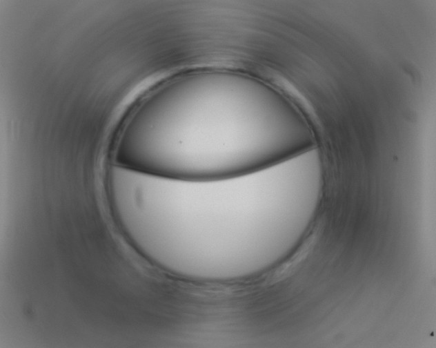 X0000114531085200910191005