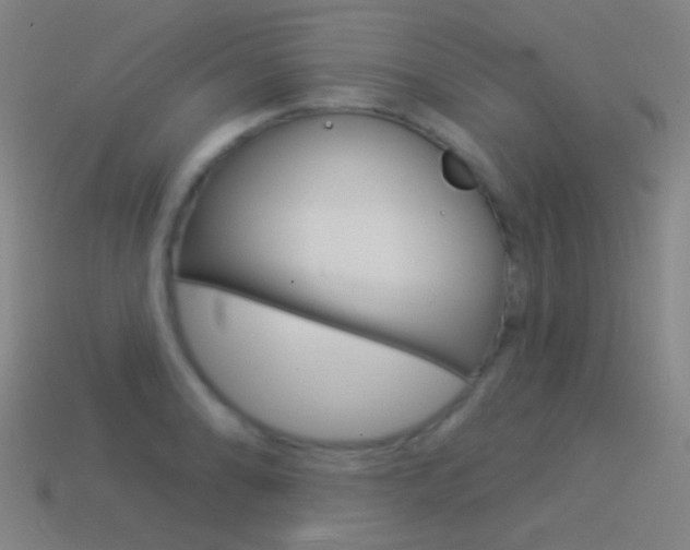 X0000114531086200910191005