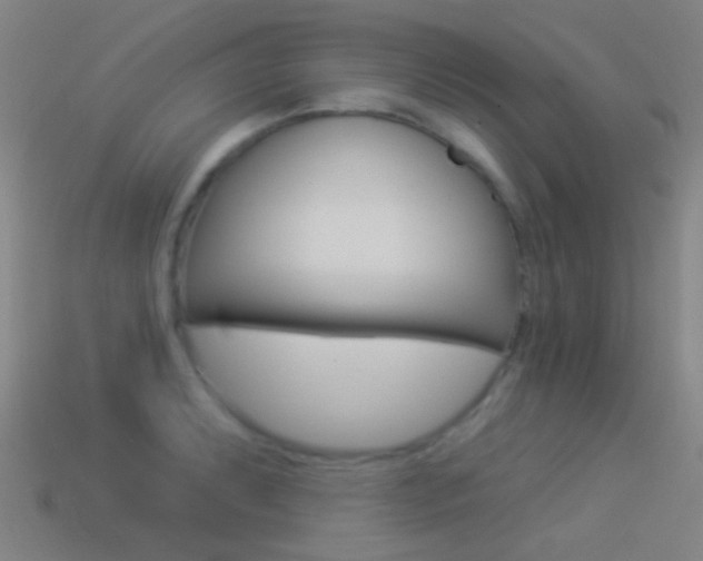 X0000114531087200910191005