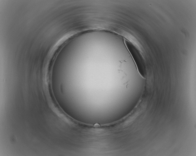 X0000114531088200910191005