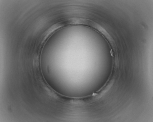 X0000114531089200910191005