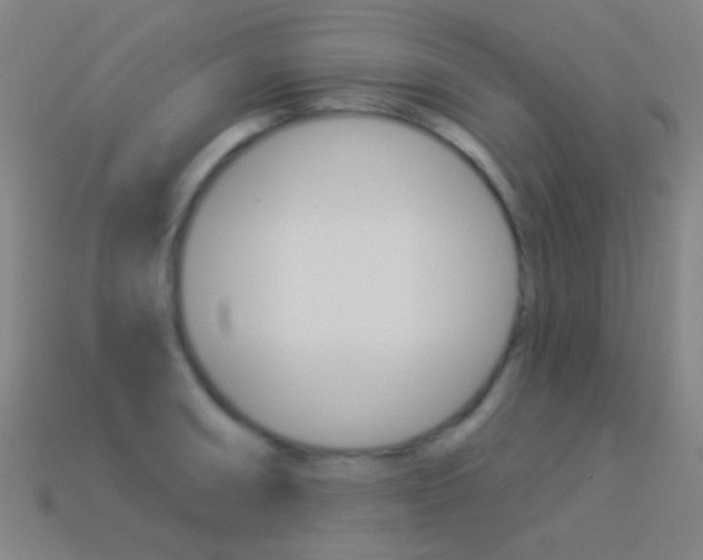 X0000114531090200910191005