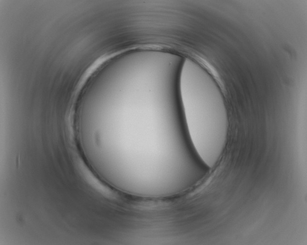 X0000114531091200910191005