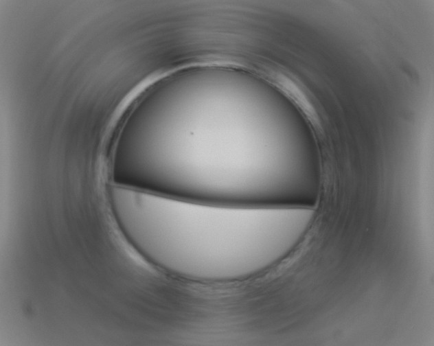 X0000114531092200910191005