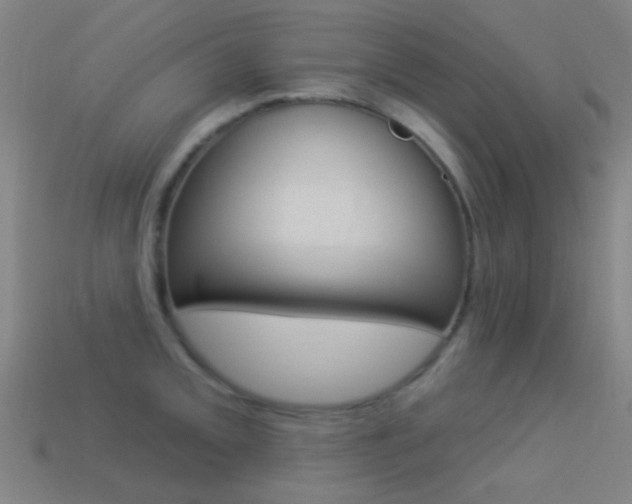 X0000114531093200910191005