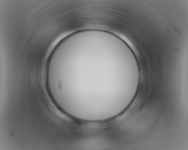 X0000114531094200910191005