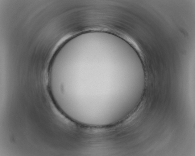X0000114531095200910191005