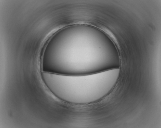 X0000114531096200910191005