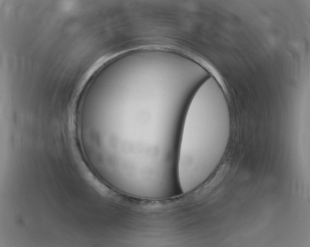 X0000114531099200910191005