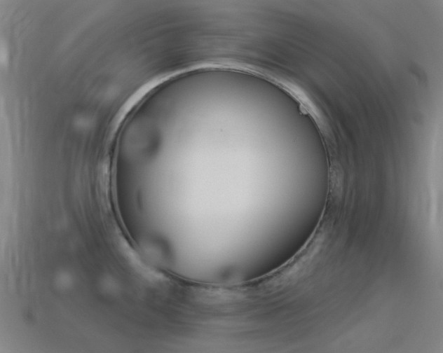 X0000114531100200910191005