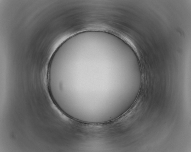 X0000114531103200910191005