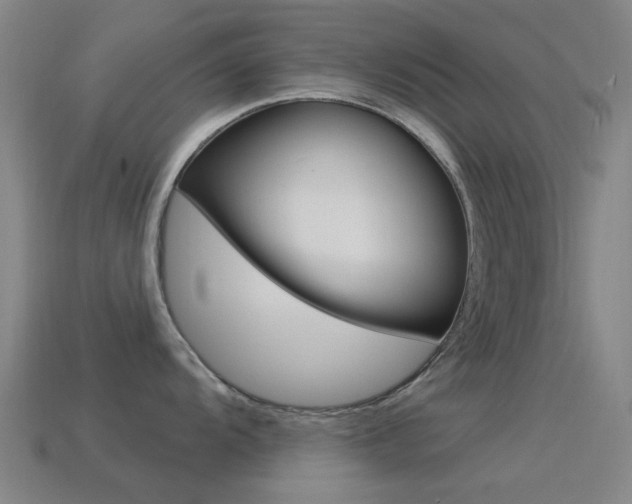 X0000114531104200910191005