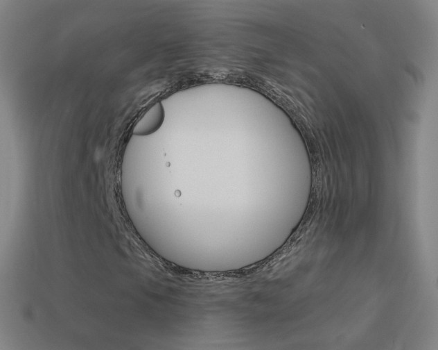 X0000114531105200910191004