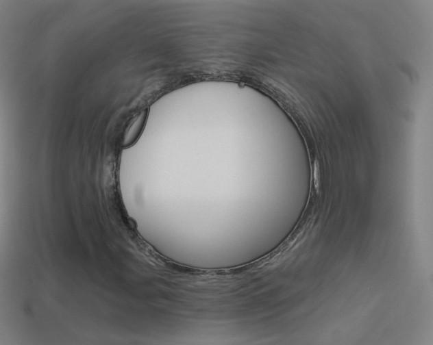 X0000114531107200910191004