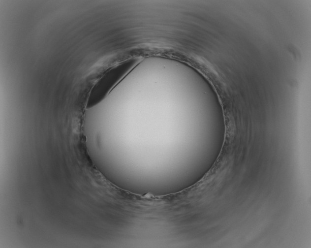 X0000114531110200910191004