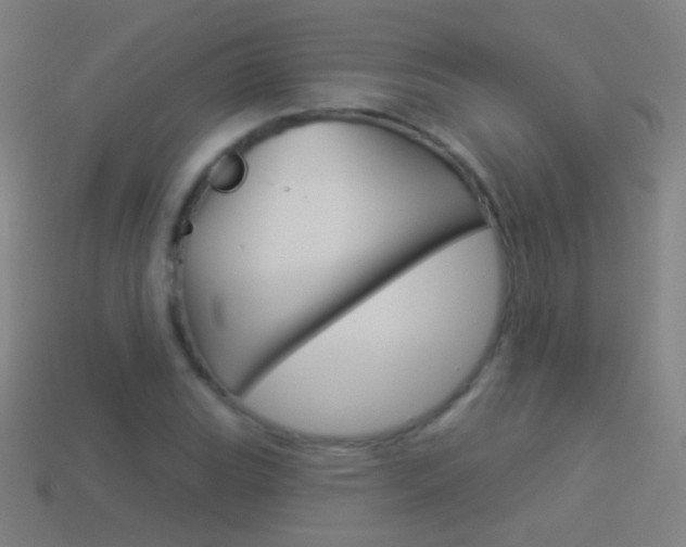 X0000114531119200910191004