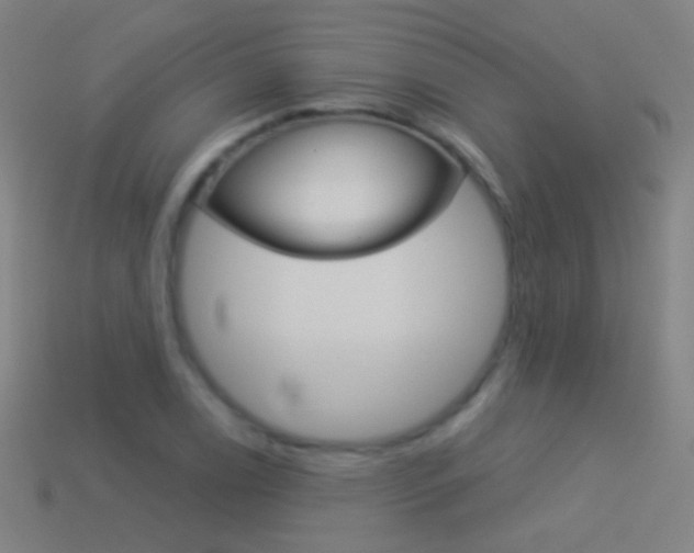 X0000114531122200910191004