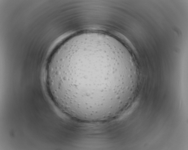 X0000114531125200910191004