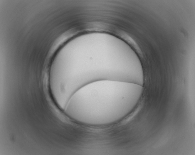 X0000114531130200910191005