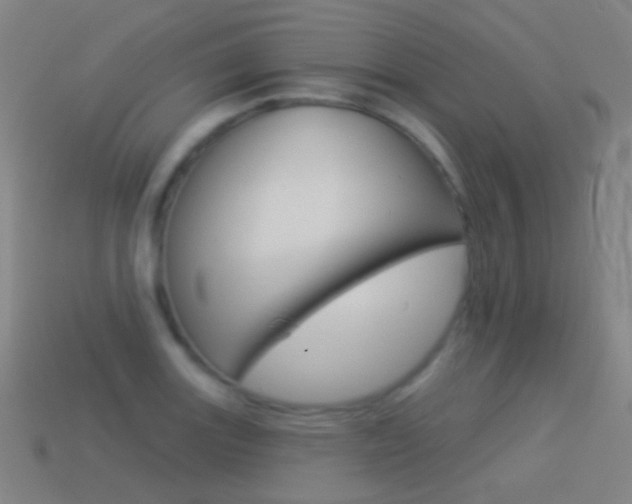 X0000114531131200910191005