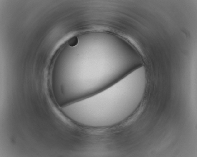 X0000114531134200910191005