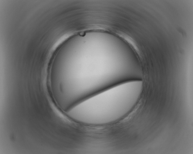 X0000114531135200910191005