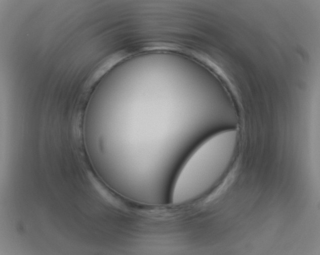 X0000114531137200910191005
