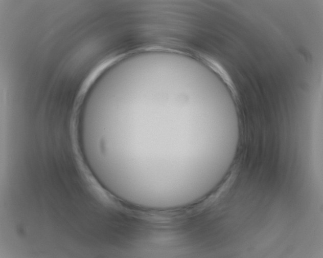 X0000114531138200910191005