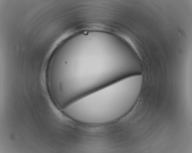 X0000114531139200910191005