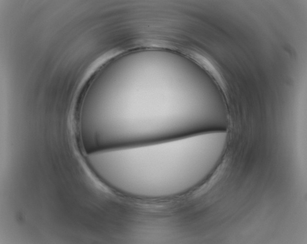 X0000114531141200910191005