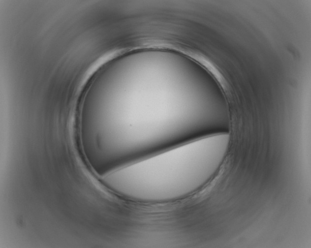 X0000114531142200910191005