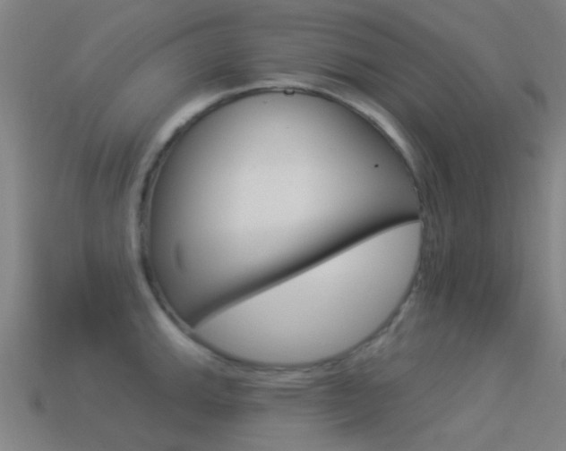 X0000114531143200910191005