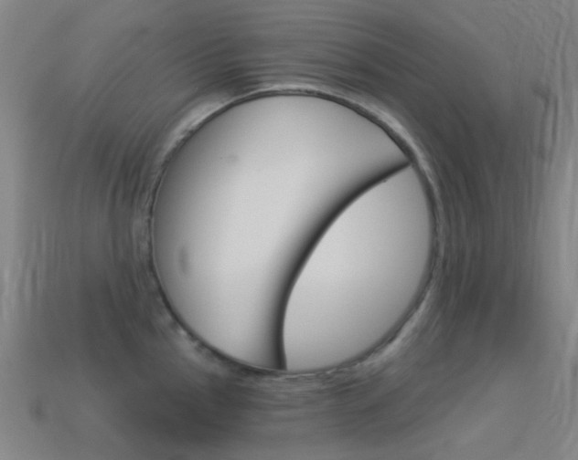 X0000114531145200910191005
