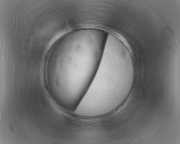 X0000114531146200910191005