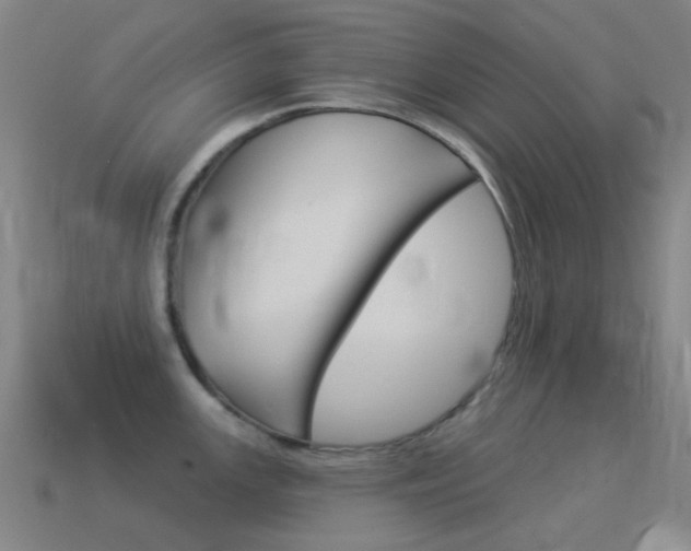 X0000114531147200910191005