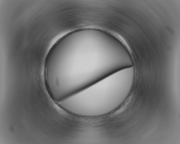 X0000114531149200910191005