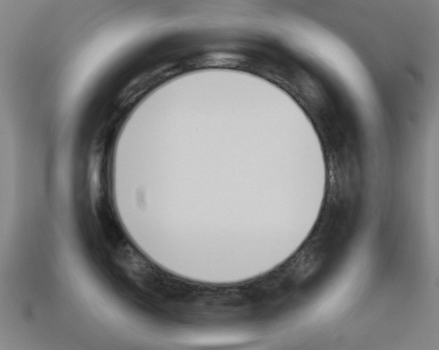 X0000114531150200910191005