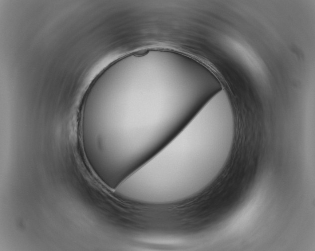 X0000114531151200910191005