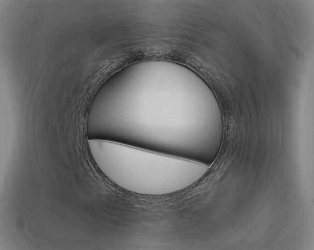 X0000114531153200910191004