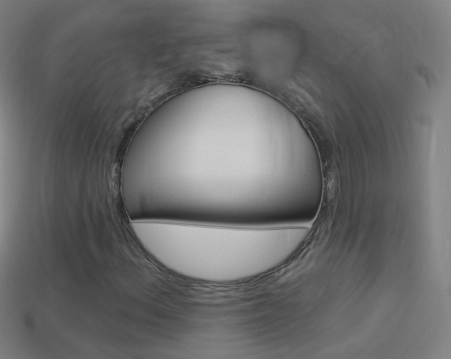 X0000114531156200910191004