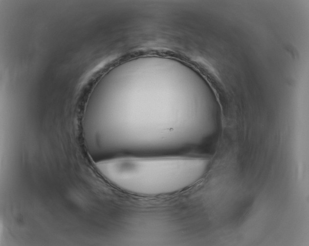 X0000114531159200910191004