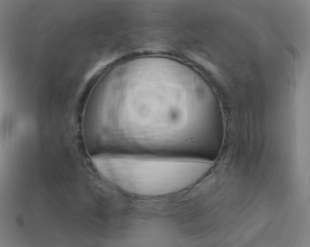 X0000114531160200910191004