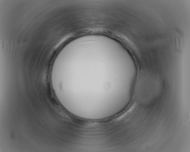 X0000114531162200910191004