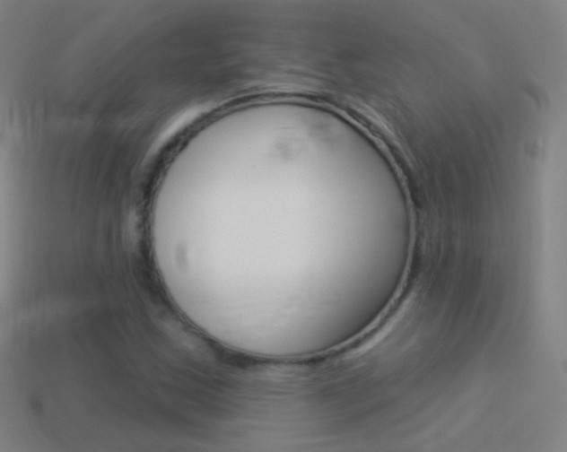 X0000114531163200910191004