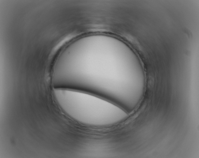 X0000114531167200910191004
