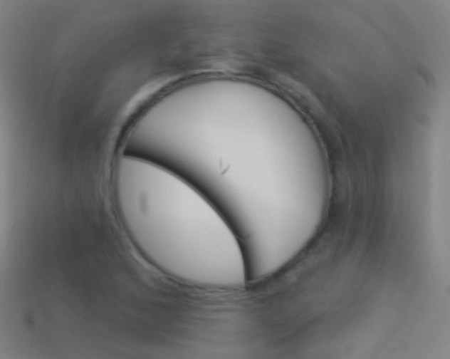 X0000114531168200910191004
