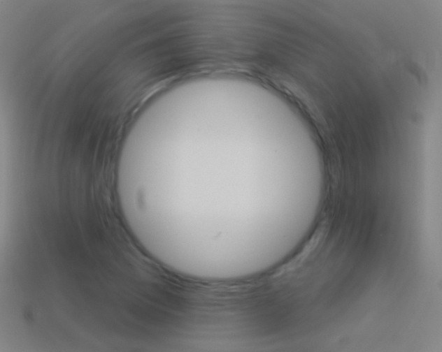 X0000114531169200910191004