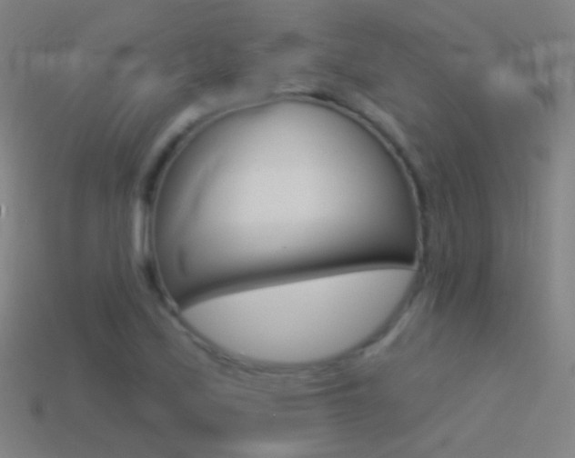 X0000114531171200910191004