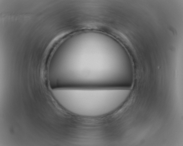 X0000114531172200910191004