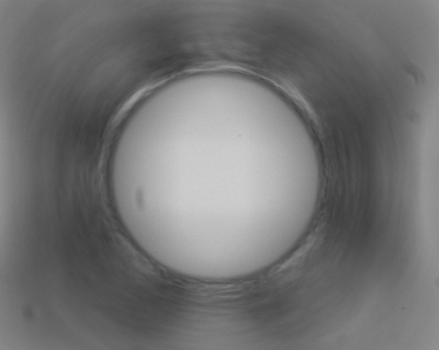 X0000114531173200910191004